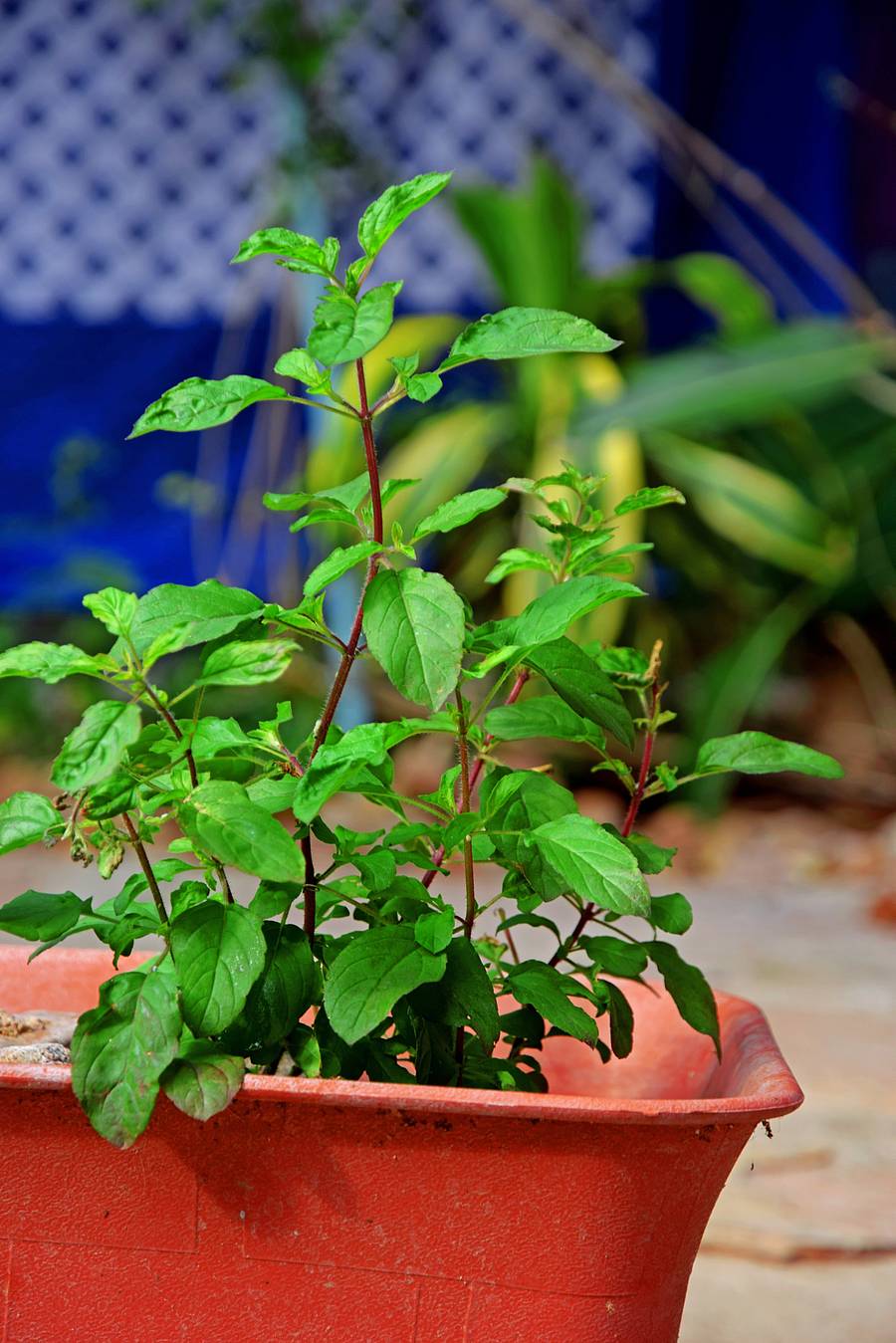 <div class="paragraphs"><p>ಚಿತ್ರ:ಎಐ</p></div>