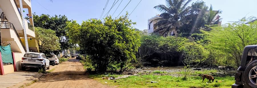 ಲಕ್ಷ್ಮಿ ಬಡಾವಣೆಯ ಖಾಲಿ ನಿವೇಶನದಲ್ಲಿ ತ್ಯಾಜ್ಯ ನೀರು ಸಂಗ್ರಹವಾಗಿರುವುದು