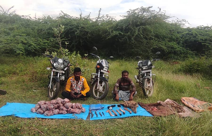 ಕೊಳ್ಳೇಗಾಲ ತಾಲ್ಲೂಕಿನ ದೊಡ್ಡಿಂದುವಾಡಿ ಗ್ರಾಮದ ಕಬಿನಿ ನಾಲೆಯ ಬಳಿ ಜಿಂಕೆ ಮಾಂಸದ ಜೊತೆಗೆ ಆರೋಪಿಗಳು