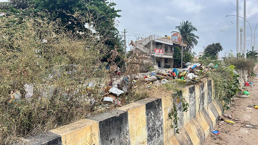 ನಗರದ ಜಿಲ್ಲಾ ಕಾರಾಗೃಹ ರಸ್ತೆಯ ವಿಭಜಕದ ಮೇಲೆ ಕಸ ಚೆಲ್ಲಾಡುತ್ತಿರುವುದು