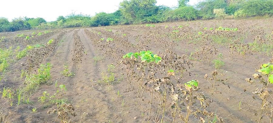 ಸಂಗ್ರಹ ಚಿತ್ರ