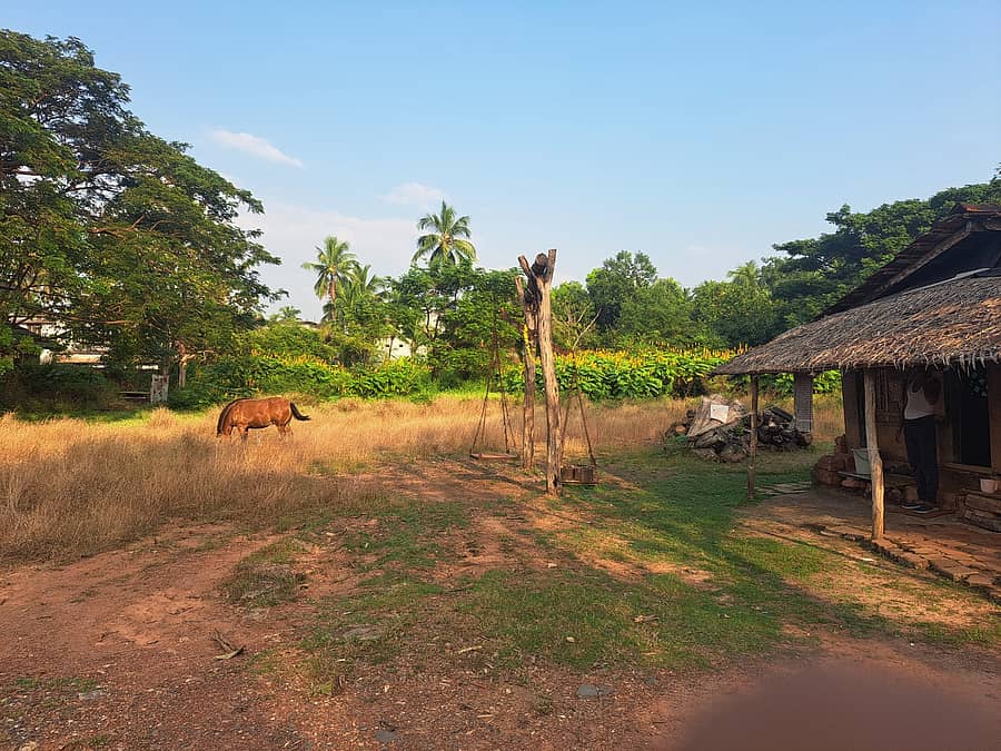 ಭಟ್ಕಳದ ಮುಖ್ಯ ರಸ್ತೆಯಲ್ಲಿರುವ ಕಟ್ಟಿಗೆ ಡಿಪೋದಲ್ಲಿ ಕಟ್ಟಿಗೆ ಖಾಲಿಯಾಗಿರುವುದು