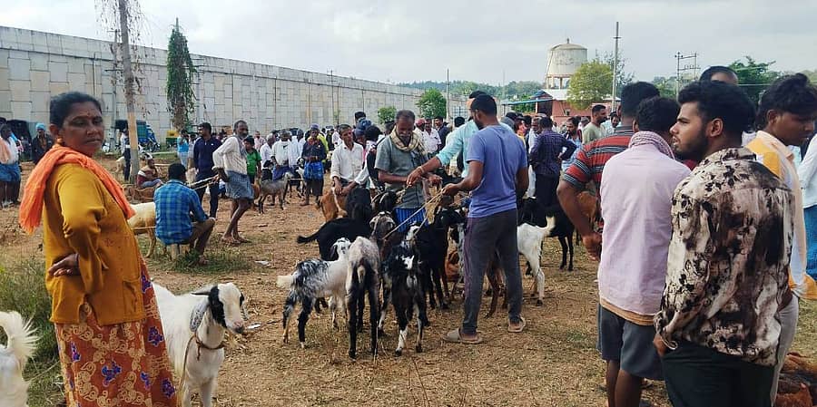 ರಾಮನಗರ ತಾಲ್ಲೂಕಿನ ಜಯಪುರ ಗೇಟ್ ನಲ್ಲಿ ಹೊಸದಾಗಿ ಆರಂಭವಾಗಿರುವ ಮುತ್ತುರಾಯಸ್ವಾಮಿ ರೈತರ ವಾರದ ಸಂತೆ