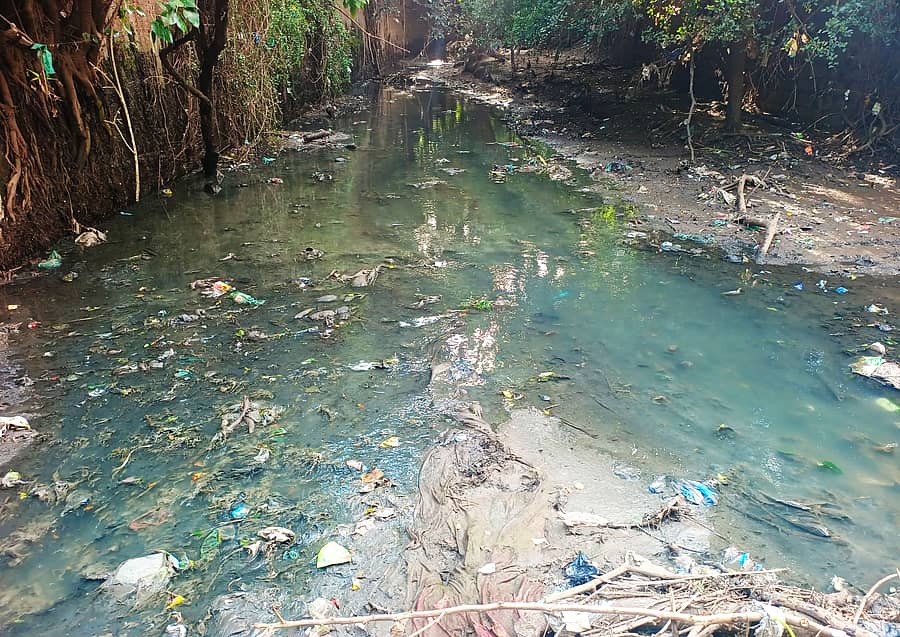 ಶ್ರೀರಂಗಪಟ್ಟಣದ ವೆಲ್ಲೆಸ್ಲಿ ಬ್ರಿಡ್ಜ್‌ ಬಳಿ ಕಾವೇರಿ ನದಿಯ ಒಡಲು ಸೇರುತ್ತಿರುವ ಒಳಚರಂಡಿಯ ಕೊಳಚೆ ನೀರು 