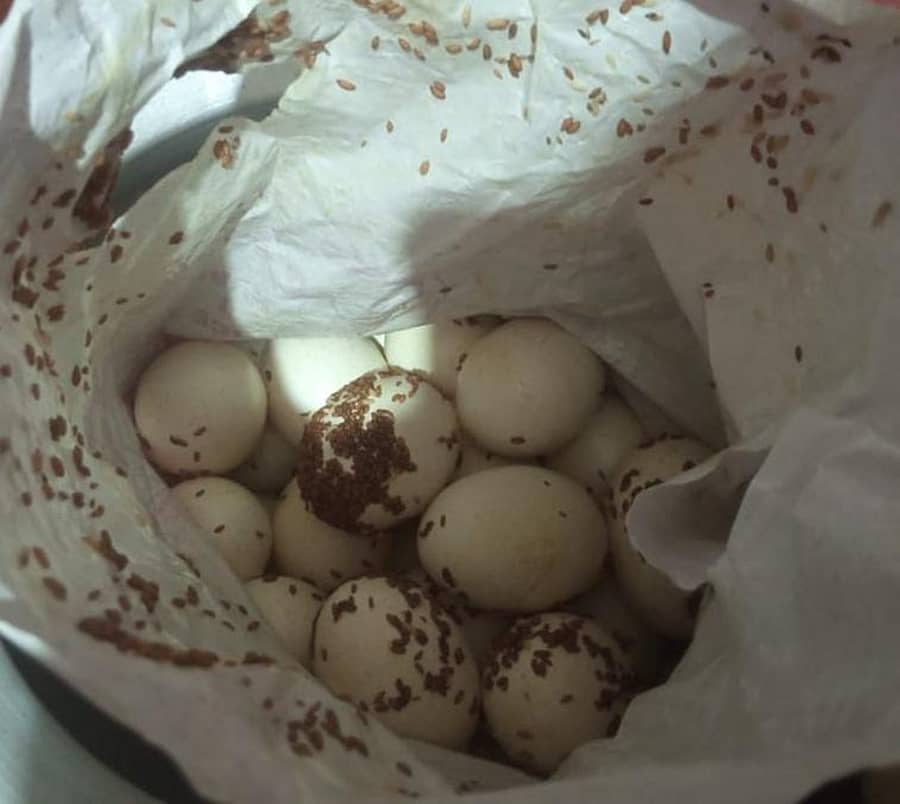 ಚಾಮರಾಜನಗರ ತಾಲ್ಲೂಕಿನ ಅಮಚವಾಡಿ ಗ್ರಾಮದ ದೀಪಾ ಎಂಬುವರಿಗೆ ವಿತರಣೆ ಮಾಡಿದ್ದಾರೆ ಎನ್ನಲಾದ ಹುಳುಬಿದ್ದಿರುವ ಮೊಟ್ಟೆಗಳು