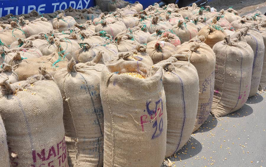 ಚಿತ್ರದುರ್ಗದ ಎಪಿಎಂಸಿ ಮಾರುಕಟ್ಟೆಯಲ್ಲಿ ಮೆಕ್ಕೆಜೋಳ ಮಾರಾಟವಾಗಿರುವುದು (ಸಂಗ್ರಹ ಚಿತ್ರ)