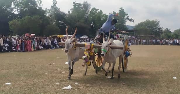 ಕುಶಾಲನಗರ ಸಮೀಪದ ಹೆಬ್ಬಾಲೆ ಗ್ರಾಮದಲ್ಲಿ ಗ್ರಾಮದೇವತೆ ಶ್ರೀ ಬನಶಂಕರಿ ಅಮ್ಮನವರ ಹಬ್ಬದ ಅಂಗವಾಗಿ ನಡೆದ ಎತ್ತಿನಗಾಡಿ ಓಟ ಸ್ಪರ್ಧೆ ಎಲ್ಲರ ಗಮನ ಸೆಳೆಯಿತು.