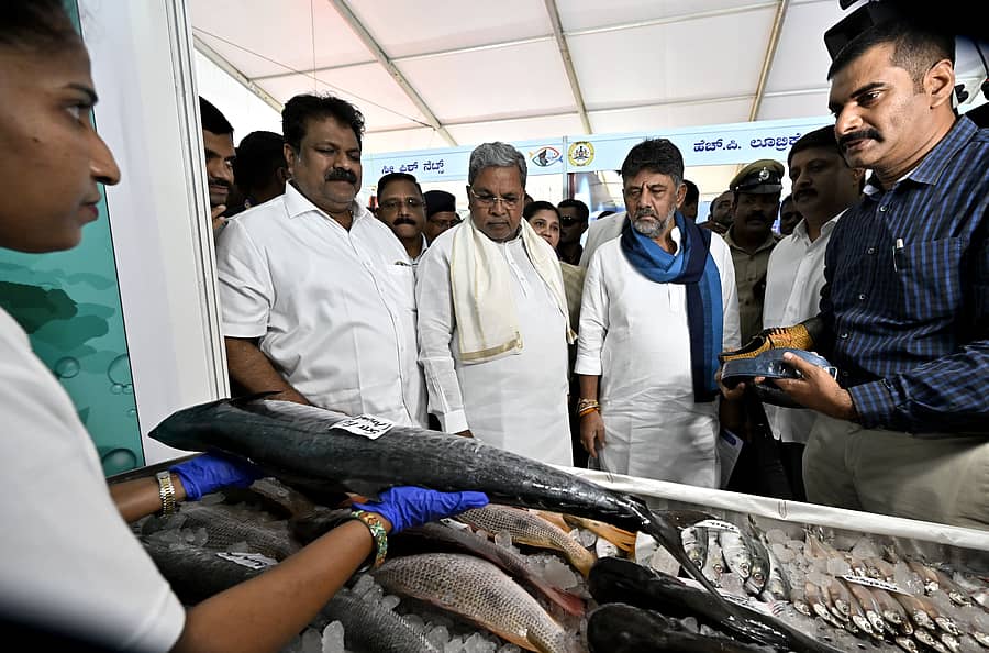 ಮತ್ಸ್ಯಮೇಳದಲ್ಲಿ ಪ್ರದರ್ಶನ ಹಾಗೂ ಮಾರಾಟಕ್ಕೆ ಇಟ್ಟಿದ್ದ ಮೀನುಗಳನ್ನು ಮಂಕಾಳ ಎಸ್. ವೈದ್ಯ, ಸಿದ್ದರಾಮಯ್ಯ, ಡಿ.ಕೆ.ಶಿವಕುಮಾರ್ ಹಾಗೂ ಬೈರತಿ ಸುರೇಶ್ ಅವರು ವೀಕ್ಷಿಸಿದರು
ಪ್ರಜಾವಾಣಿ ಚಿತ್ರ