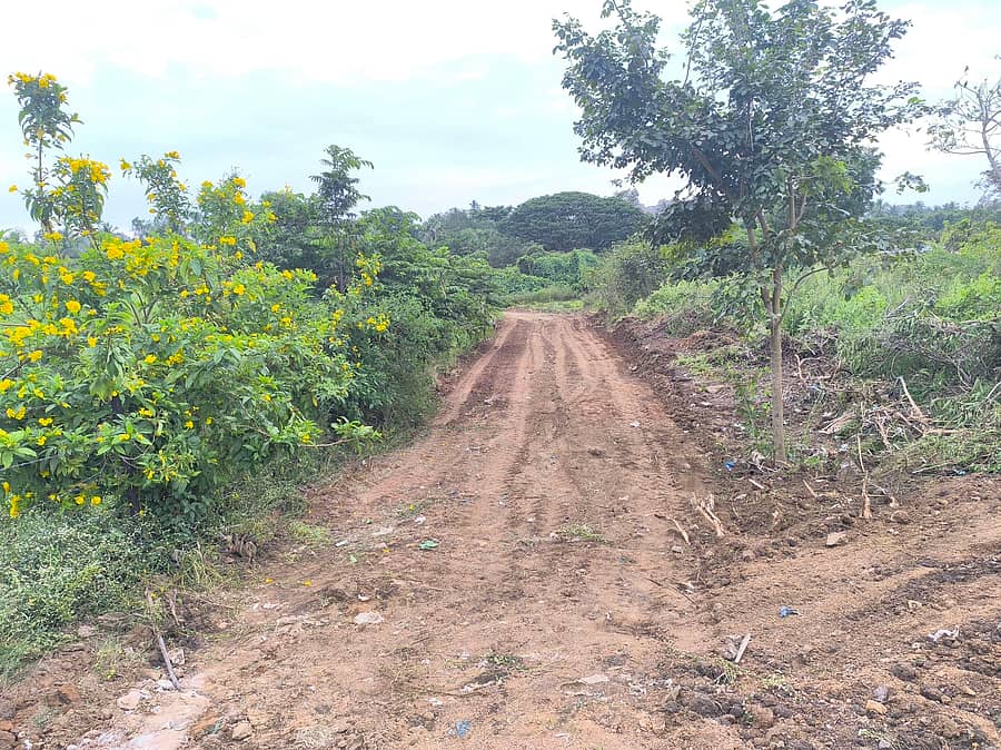 <div class="paragraphs"><p>ಹನುಮಮಾಲಾ ವಿಸರ್ಜನೆ ನಿಮಿತ್ತ ಅಂಜನಾದ್ರಿ ಬಳಿ ಶನಿವಾರ ಸಂಚಾರ ದಟ್ಟಣೆ ತಪ್ಪಿಸಲು  ಹಳೆಯ ರಸ್ತೆ ರಚನೆ ಮಾಡಲಾಯಿತು</p></div>