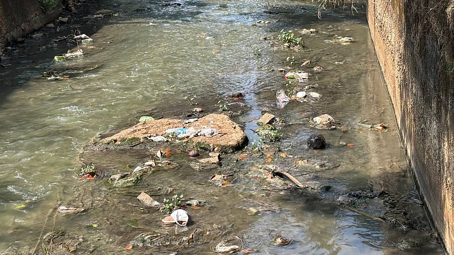 ಉಡುಪಿಯ ಮಠದಬೆಟ್ಟು ಪರಿಸರದಲ್ಲಿ ಇಂದ್ರಾಣಿ ನದಿಯಲ್ಲಿ ತ್ಯಾಜ್ಯ ನೀರು ಹರಿಯುತ್ತಿರುವುದು