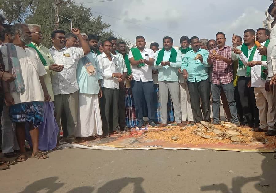 ಲಕ್ಷ್ಮೇಶ್ವರದ ಶಿಗ್ಲಿ ಕ್ರಾಸ್‍ನಲ್ಲಿ ಭಾನುವಾರ ರೈತರು ಮೆಕ್ಕೆಜೋಳ ರಸ್ತೆಗೆ ಸುರಿದು ಪ್ರತಿಭಟನೆ ನಡೆಸಿದರು