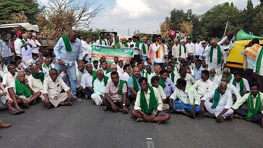 ಮೆಕ್ಕೆಜೋಳಕ್ಕೆ ಬೆಂಬಲ ಬೆಲೆ ಘೋಷಿಸಬೇಕು ಎಂದು ಒತ್ತಾಯಿಸಿ ಒತ್ತಾಯಿಸಿ ಗೌರಿಬಿದನೂರು ಕರ್ನಾಟಕ ರಾಜ್ಯ ರೈತ ಸಂಘ ಮತ್ತು ಹಸಿರು ಸೇನೆಯಿಂದ ಕೃಷಿ ಮಾರುಕಟ್ಟೆ ಮುಂದೆ ರಸ್ತೆ ತಡೆದು ಪ್ರತಿಭಟನೆ ನಡೆಸಲಾಯಿತು