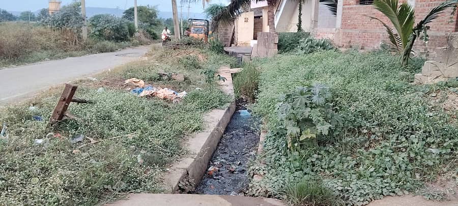 ಗಜೇಂದ್ರಗಡ ಸಮೀಪದ ಚಿಲ್ಝರಿ ಗ್ರಾಮದಲ್ಲಿ ಮುಖ್ಯ ಚರಂಡಿ ಹೂಳು ತುಂಬಿಕೊಂಡು ಆಪು ಬೆಳೆದಿರುವುದು