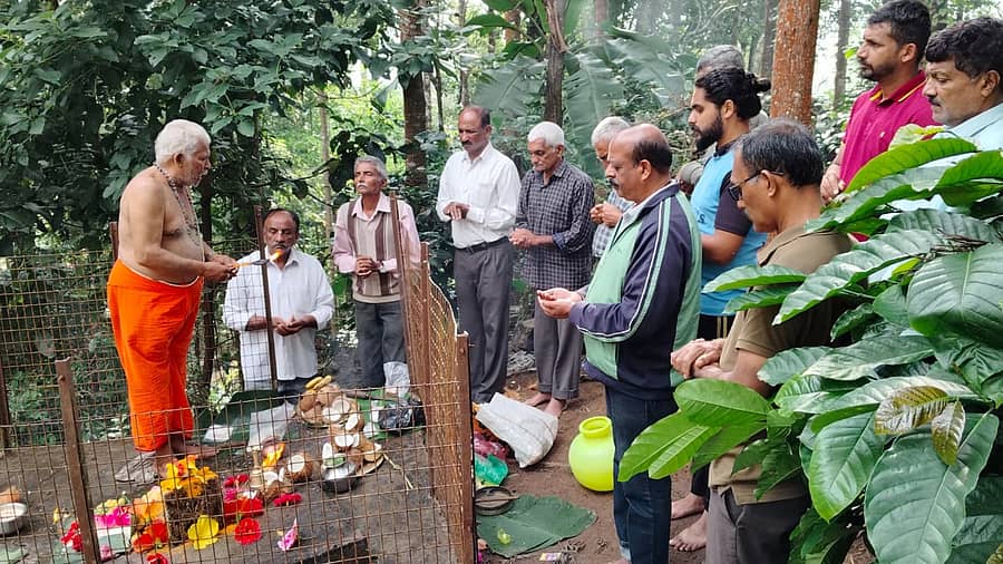 ಚೆಟ್ಟಳ್ಳಿಯಲ್ಲಿ ಮಂಗಳವಾರ ಸುಬ್ರಹ್ಮಣ್ಯ ದೇವರ ಷಷ್ಠಿಯನ್ನು ಶ್ರದ್ಧಾಭಕ್ತಿಯಿಂದ ಆಚರಿಸಲಾಯಿತು