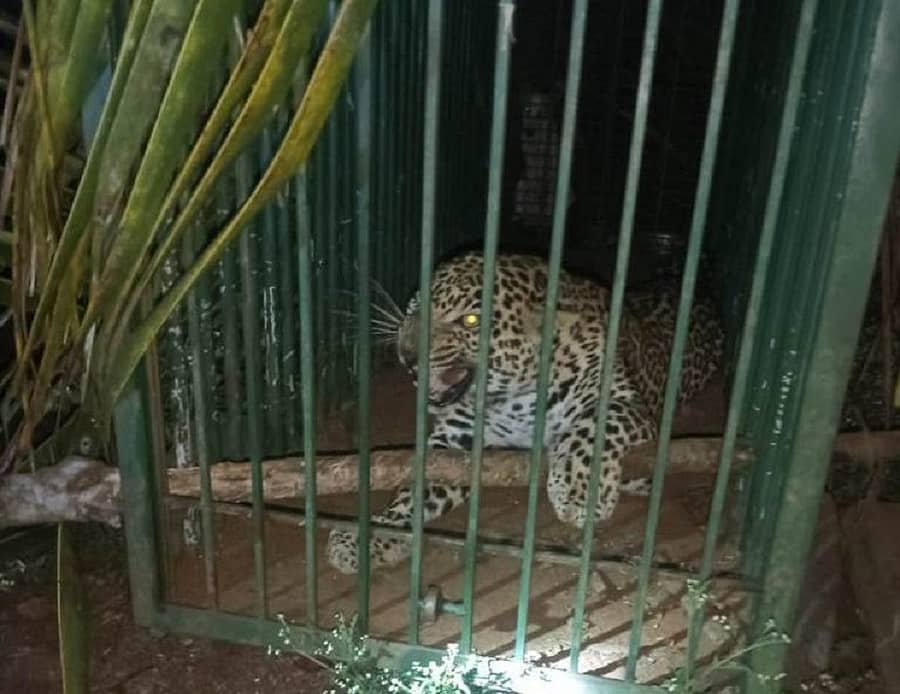 <div class="paragraphs"><p>ಪ್ರಾತಿನಿಧಿಕ ಚಿತ್ರ</p></div>