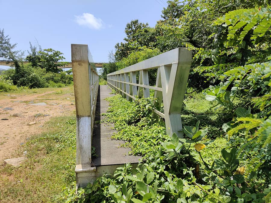ಕಾರವಾರದ ಸದಾಶಿವಗಡ ಗುಡ್ಡದ ತಪ್ಪಲಿನಲ್ಲಿ ಅನಾಥ ಸ್ಥಿತಿಯಲ್ಲಿ ಬಿದ್ದಿರುವ ಕಾಂಕ್ರೀಟ್ ಜಟ್ಟಿಯ ಗ್ಯಾಂಗ್‌ವೆ ಮೇಲೆ ಗಿಡಗಂಟಿ ಆವರಿಸಿಕೊಂಡಿರುವುದು
