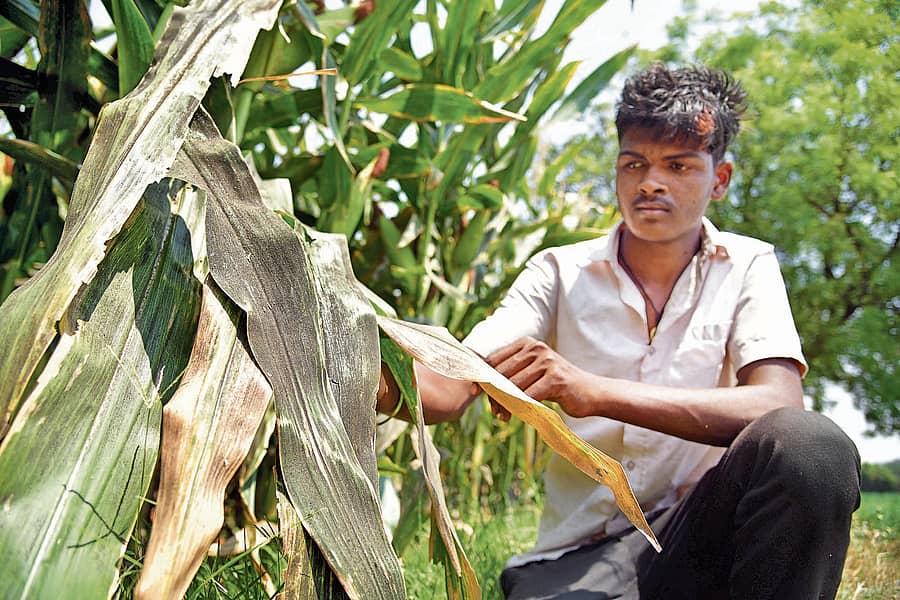 <div class="paragraphs"><p>ಸಂಗತ: ಗಾಂಧಿಮಾರ್ಗ– ಅನ್ಯಥಾ ಶರಣಂ ನಾಸ್ತಿ!</p></div>