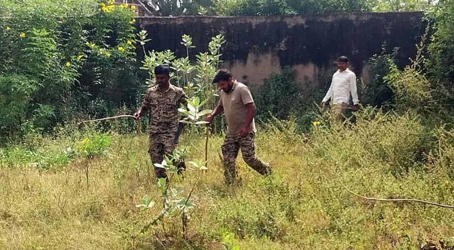 ಗದುಗಿನ ಪಂಚಾಕ್ಷರಿ ನಗರ, ಎಪಿಎಂಸಿ ಯಾರ್ಡ್‌ ಬಳಿ ಚಿರತೆ ಸಂಚಾರ ನಡೆಸಿರುವ ದೃಶ್ಯ ಸಿಸಿಟಿವಿ ಕ್ಯಾಮೆರಾದಲ್ಲಿ ದಾಖಲಾಗ ಕಾರಣ ಅರಣ್ಯ ಇಲಾಖೆ ಸಿಬ್ಬಂದಿ ಬುಧವಾರ ಚಿರತೆಗಾಗಿ ಹುಡುಕಾಟ ನಡೆಸಿದರು