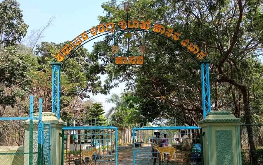 ಹಾಸನದ ಹೊರವಲಯದ ಗೆಂಡೆಕಟ್ಟೆ ಅರಣ್ಯದ ಐಬಿ