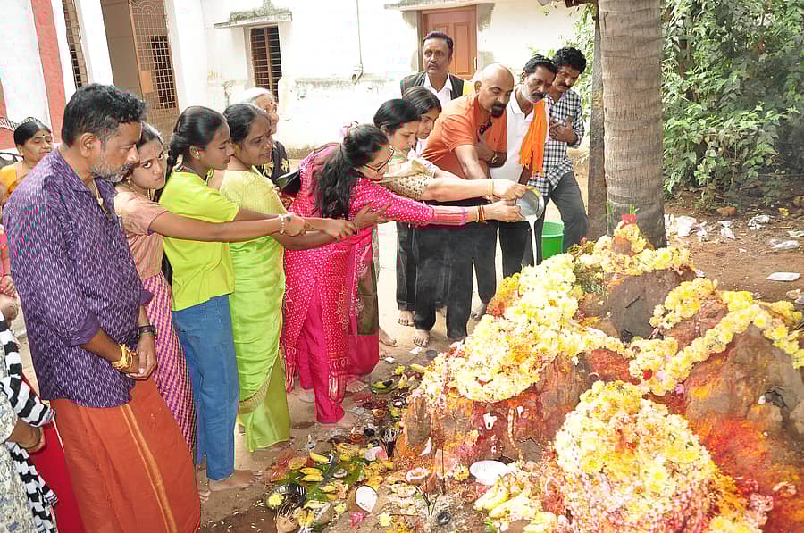 ಮಂಡ್ಯ ನಗರದ ಲಕ್ಷ್ಮೀ ಜನಾರ್ದನ ದೇವಾಲಯ ಆವರಣದಲ್ಲಿ ಸುಬ್ರಹ್ಮಣ್ಯ ಷಷ್ಠಿ ಅಂಗವಾಗಿ ಭಕ್ತರು ಹುತ್ತಕ್ಕೆ ತನಿಯೆರೆದು ಪೂಜೆ ಸಲ್ಲಿಸಿದರು