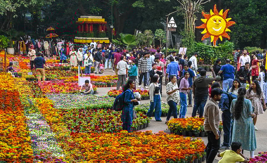 ಕಬ್ಬನ್‌ ಉದ್ಯಾನದಲ್ಲಿ ನಡೆಯುತ್ತಿರುವ ಹೂಗಳ ಹಬ್ಬವನ್ನು ಸಾರ್ವಜನಿಕರು ಕಣ್ತುಂಬಿಕೊಂಡರು
ಪ್ರಜಾವಾಣಿ ಚಿತ್ರ: ಎಂ.ಎಸ್. ಮಂಜುನಾಥ್