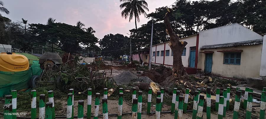 ಹನೂರು ತಾಲ್ಲೂಕಿನ ಮಹದೇಶ್ವರ ಬೆಟ್ಟದ ಹಳೆ ಕುಟೀರಗಳ ಬಳಿ ಮರಗಳನ್ನು ಕಡಿದು ಹಾಕಿರುವುದು