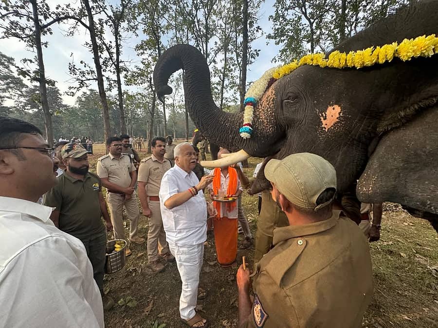 ಪಣಸೋಲಿ ಆನೆಶಿಬಿರಕ್ಕೆ ಸೇರ್ಪಡೆಗೊಂಡ ಗಂಡಾನೆಗೆ ಶಾಸಕ ಆರ್.ವಿ.ದೇಶಪಾಂಡೆ ಪೂಜೆ ಸಲ್ಲಿಸಿದರು.