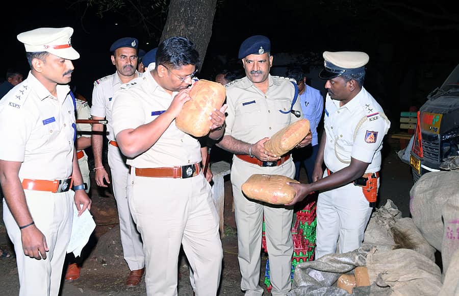 ಬಸವಕಲ್ಯಾಣ ತಾಲ್ಲೂಕಿನ ರಾಜೇಶ್ವರ ಹತ್ತಿರದಲ್ಲಿ ಶನಿವಾರ ವಶಪಡಿಸಿಕೊಂಡಿರುವ ಗಾಂಜಾವನ್ನು ಪೊಲೀಸ್ ವರಿಷ್ಠಾಧಿಕಾರಿಗಳು ಪರಿಶೀಲಿಸಿದರು