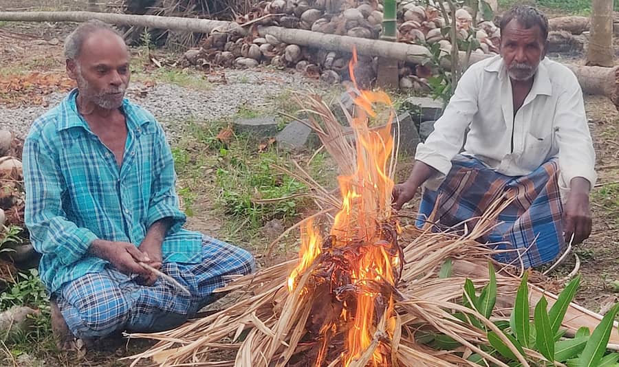 ಯಳಂದೂರು ತಾಲ್ಲೂಕಿನ ಹೊರವಲಯದ ಗೂಳಿಪುರ ಗ್ರಾಮದ ತೋಟಗಳಲ್ಲಿ ರೈತರು ಮೈಕೊರೆಯುವ ಚಳಿಯಲ್ಲಿ ದೇಹ ಕಾಯಿಸಿಕೊಳ್ಳುತ್ತಿರುವ ದೃಶ್ಯ