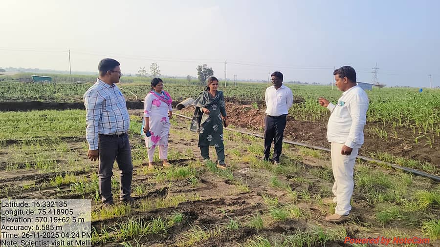 ಮುಧೋಳ ತಾಲೂಕಿನ ಮೆಳ್ಳಿಗೇರಿ ಗ್ರಾಮದ ರೈತರ ಜಮೀನಿಗೆ ಕೃಷಿ ಅಧಿಕಾರಿಗಳು ಭೇಟಿ ನೀಡಿ ಬೆಳೆ ಪರಿಶೀಲಿಸಿದರು