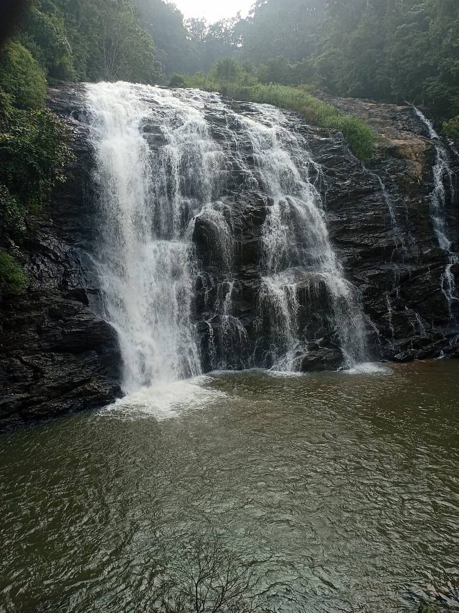 ಮಳೆಗಾಲ ಮುಗಿದ ನಂತರ ಅಬ್ಬಿ ಫಾಲ್ಸ್ನಲ್ಲಿ ಶಾಂತಚಿತ್ತದಿಂದ ಜಲಧಾರೆ ಧುಮ್ಮಿಕ್ಕುತ್ತಿರುವ ಸೊಬಗು ಈಚೆಗೆ ಕಂಡು ಬಂತು