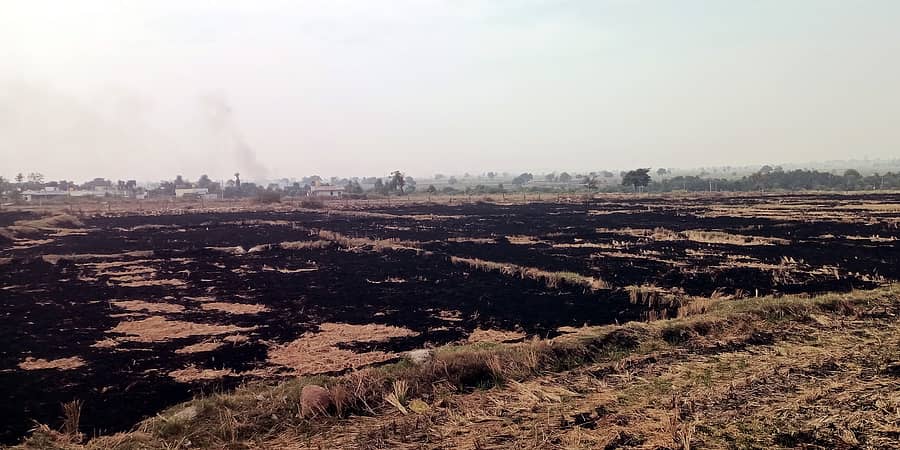 ಹುಣಸಗಿ ಪಟ್ಟಣದ ಹೊರವಲಯದಲ್ಲಿ  ಭತ್ತದ ಹುಲ್ಲು ಸುಟ್ಟಿರುವದು