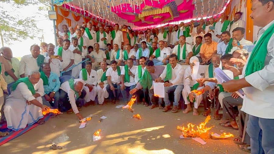 ಹಾವೇರಿ ಜಿಲ್ಲಾಧಿಕಾರಿ ಕಚೇರಿ ಎದುರು ಅನಿರ್ದಿಷ್ಟಾವಧಿ ಧರಣಿ ನಡೆಸುತ್ತಿರುವ ರೈತರು, ರಾಜ್ಯ ಸರ್ಕಾರದ ಆದೇಶ ಪ್ರತಿ ಸುಟ್ಟು ಹಾಕಿದರು.