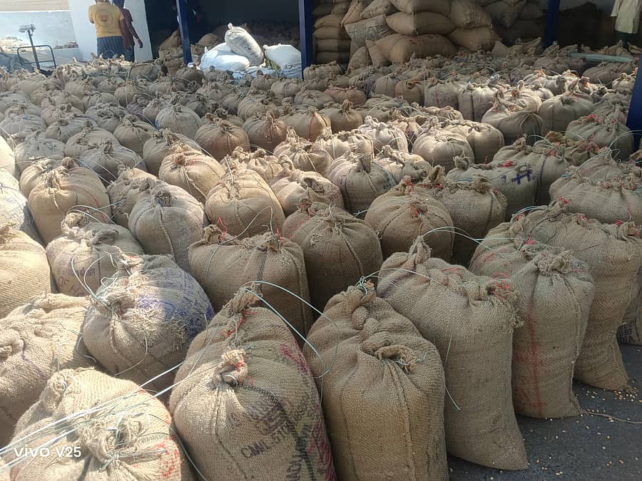 ಬಾಗಲಕೋಟೆ ಎಪಿಎಂಸಿಗೆ ಬಂದಿರುವ ಮೆಕ್ಕೆಜೋಳ