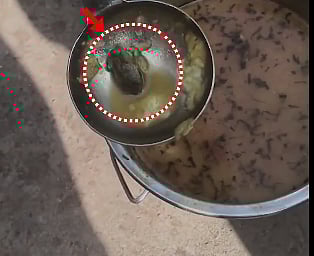 ಮೊಟ್ಟೆ, ಚಿಕನ್‌ ಅಲ್ಲ: ಸರ್ಕಾರಿ ಶಾಲೆಯ ಬಿಸಿಯೂಟದಲ್ಲಿತ್ತು ‘ಕಪ್ಪೆ ಸಾಂಬರ್‌’