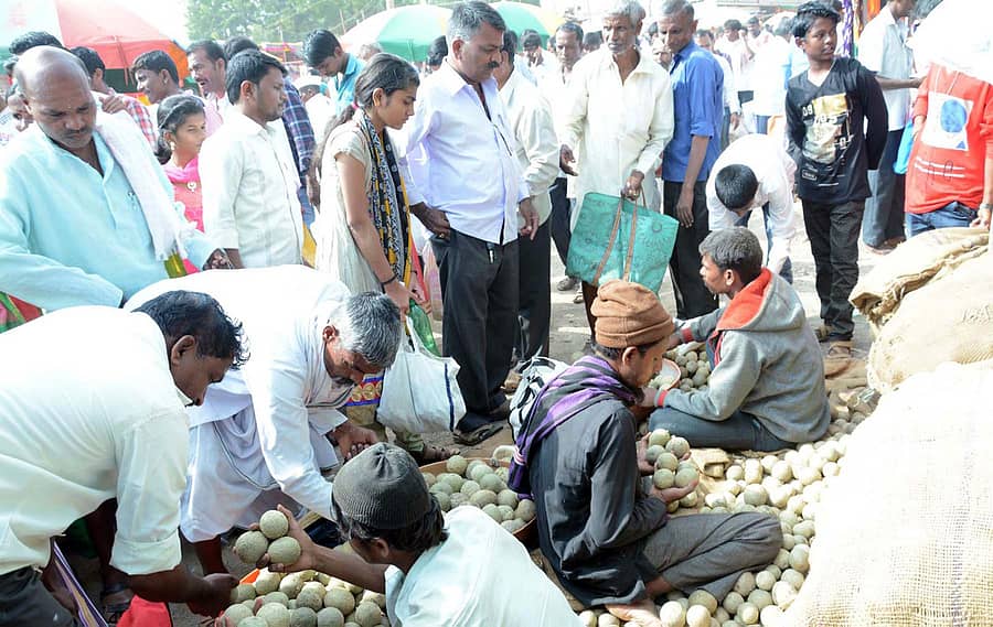 ರಾಮದುರ್ಗ ತಾಲ್ಲೂಕಿನ ಗೊಡಚಿಯಲ್ಲಿ ಗುರುವಾರ ಜಾತ್ರೆಯ ಅಂಗವಾಗಿ ಬಳವೊಲು ಹಣ್ಣಿನ ವ್ಯಾಪಾರ ಭರ್ಜರಿಯಾಗಿ ನಡೆಯಿತು