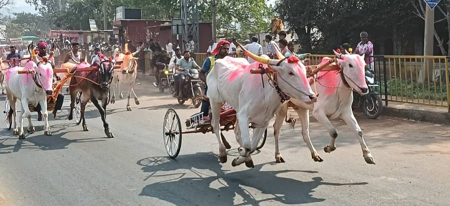 ಶಿರೂರಿನಲ್ಲಿ ಭಾನುವಾರ ಪುಟ್ಟಿ ಬಂಡಿ ಓಟದ ಸ್ಪರ್ಧೆ ನಡೆಯಿತು