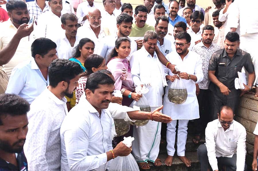 ಬಸವಾಪಟ್ಟಣ ಸಮೀಪದ ಸೂಳೆಕೆರೆಗೆ ಶನಿವಾರ ಶಾಸಕ ಬಸವರಾಜು ಶಿವಗಂಗಾ ಹಾಗೂ ಇತರರು 20 ಲಕ್ಷ ಮೀನು ಮರಿಗಳನ್ನು ಬಿಟ್ಟರು