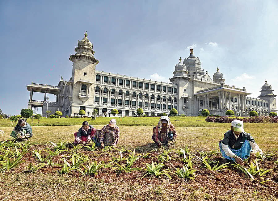 <div class="paragraphs"><p>ಚಳಿಗಾಲದ ಅಧಿವೇಶನ ಸಿದ್ಧತೆಗಾಗಿ, ಬೆಳಗಾವಿಯ ಸುವರ್ಣ ವಿಧಾನಸೌಧದ ಮುಂದೆ ಕಾರ್ಮಿಕರು ಪುಷ್ಪವನ ಸಿದ್ಧಪಡಿಸುವಲ್ಲಿ ನಿರತರಾದರು </p></div>