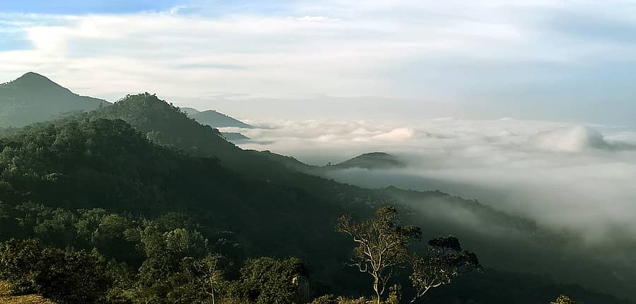 ಯಳಂದೂರು ತಾಲ್ಲೂಕಿನ ಬಿಳಿಗಿರಿ ರಂಗನಾಥನ ಶಿಖರ ಹಿಮಹೊದ್ದು ನಿಂತಿರುವ ದೃಶ್ಯ