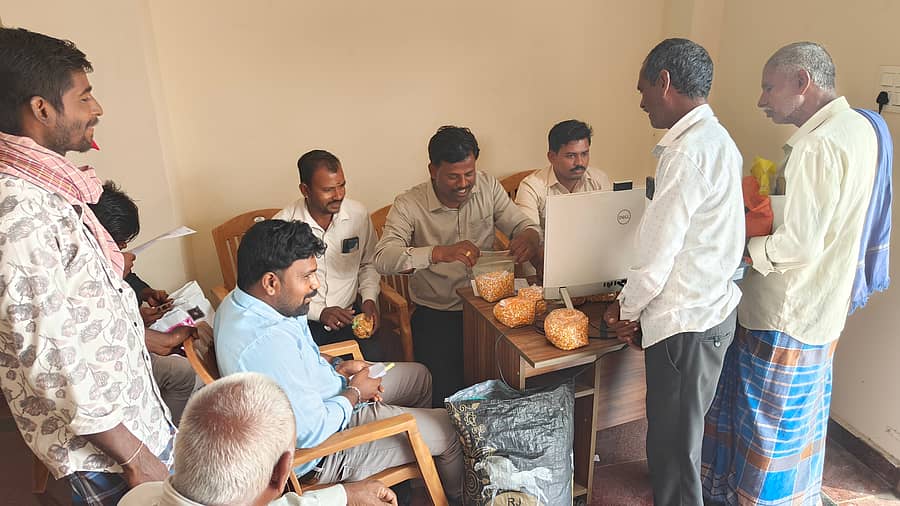 ಹಾವೇರಿಯಲ್ಲಿರುವ ಹಾವೆಮುಲ್ ಪ್ರಧಾನ ಆಡಳಿತ ಕಚೇರಿಯಲ್ಲಿ ತೆರೆದಿರುವ ಮೆಕ್ಕೆಜೋಳ ಖರೀದಿ ಕೇಂದ್ರದಲ್ಲಿ ರೈತರು ನೋಂದಣಿ ಮಾಡಿಸಿದರು