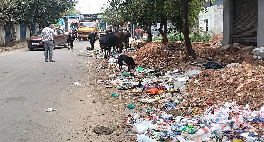 ಅಬ್ಬಿಗೆರೆಯಿಂದ ಮೇದರಹಳ್ಳಿ ಕಡೆ ತಿರುವಿನ ರಸ್ತೆ ಪಕ್ಕದಲ್ಲಿ ಕಸದ ರಾಶಿ.