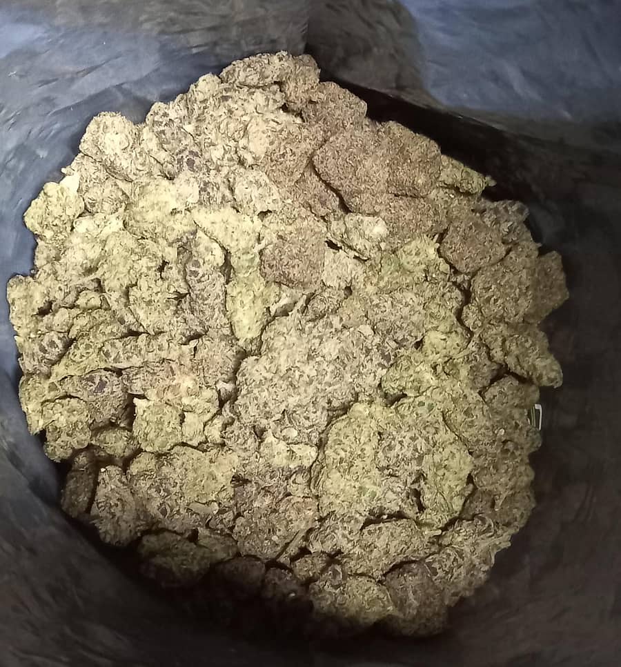 ಗಾಂಜಾ (ಸಾಂದರ್ಭಿಕ ಚಿತ್ರ)