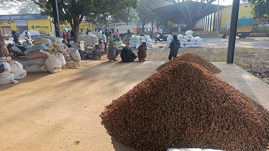 <div class="paragraphs"><p>ಶಿರಾದ ಕೃಷಿ ಉತ್ಪನ್ನ ಮಾರುಕಟ್ಟೆ</p></div>