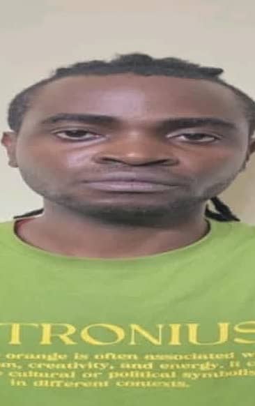 ಚಿಗೋಜಿ ದವಿ