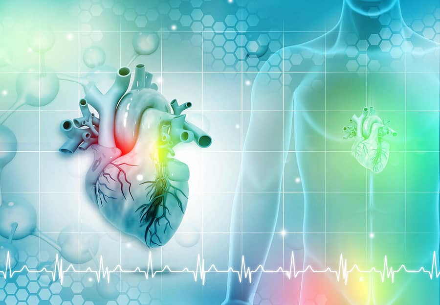 <div class="paragraphs"><p>ಚಿತ್ರ: ಗೆಟ್ಟಿ</p></div>