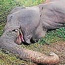 <div class="paragraphs"><p>ಸಾಂಕೇತಿಕ ಚಿತ್ರ</p></div>