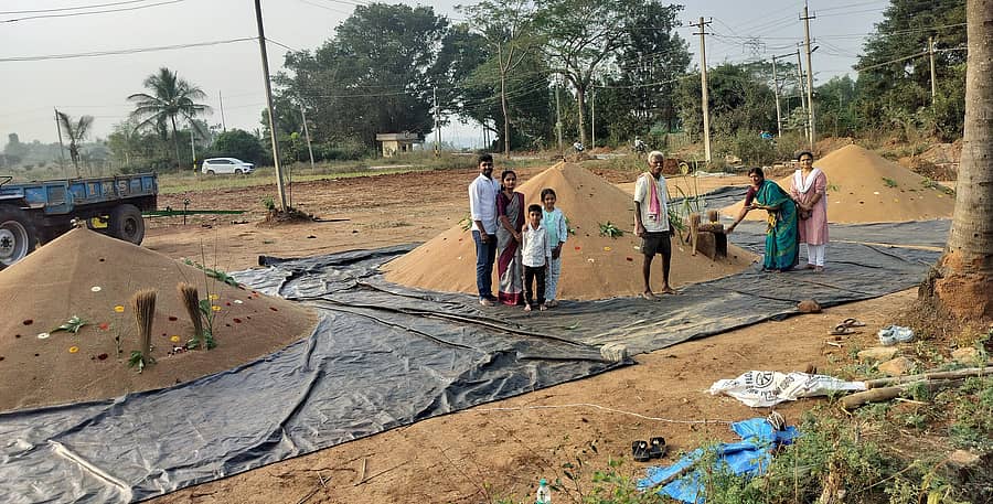 ಆನೇಕಲ್ ತಾಲ್ಲೂಕಿನ ಇಂಡ್ಲವಾಡಿಯಲ್ಲಿ ರೈತರು ರಾಗಿಗೆ ಪೂಜೆ ಮಾಡುತ್ತಿರುವುದು