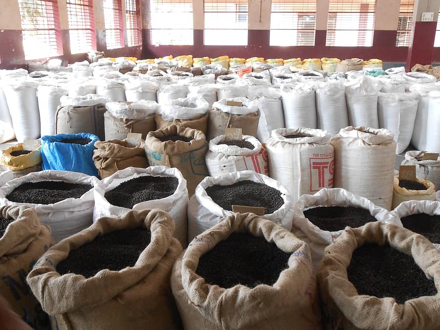 ಶಿರಸಿಯ ಸಹಕಾರ ಸಂಘವೊಂದರಲ್ಲಿ ಮಾರಾಟಕ್ಕೆ ಬಂದ ಕಾಳುಮೆಣಸು