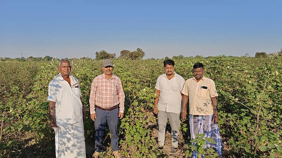 ತೆಕ್ಕಲಕೋಟೆ ಸಮೀಪದ ಹಳೇಕೋಟೆ ಗ್ರಾಮದ ರೈತರ ಹೊಲಗಳಿಗೆ ಸಿರುಗುಪ್ಪ ತಾಲ್ಲೂಕಿನ ಸಹಾಯಕ ಕೃಷಿ ನಿರ್ದೇಶಕ ಮಂಜುನಾಥರೆಡ್ಡಿ ಭೇಟಿ ನೀಡಿ ಪರಿಶೀಲನೆ ನಡೆಸಿದರು